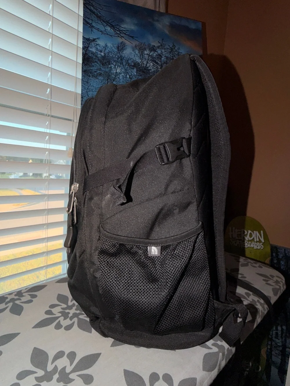 The North Face brand north